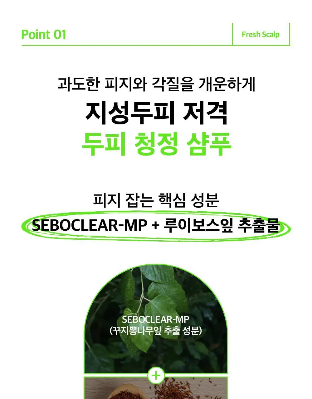 [대용량] 더마비 프레쉬 스칼프 클리어 샴푸 1000ml 2종 택 1 (베르가못그린/플로럴그린) 상세페이지 8